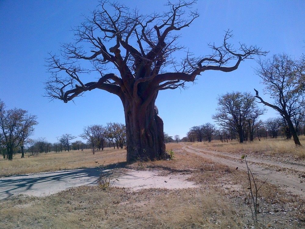 Lesoma Valley Lodge Kasane Exterior foto