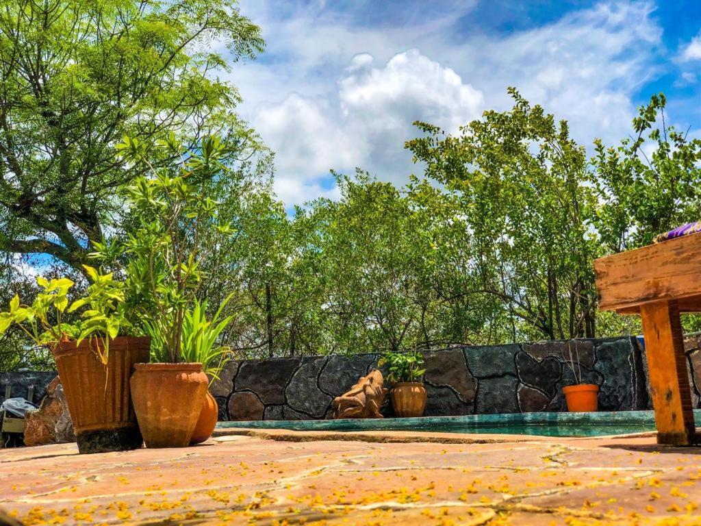 Lesoma Valley Lodge Kasane Exterior foto